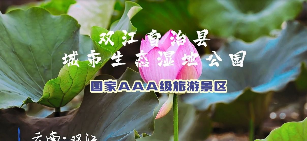 双江自治县城市生态湿地公园