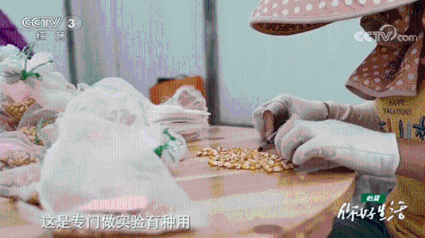 微信图片_20210926165648