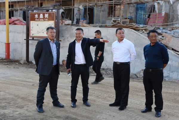 图一：路治华副市长一行深入山头寨村委会水桑树村调研公共场所建设情况