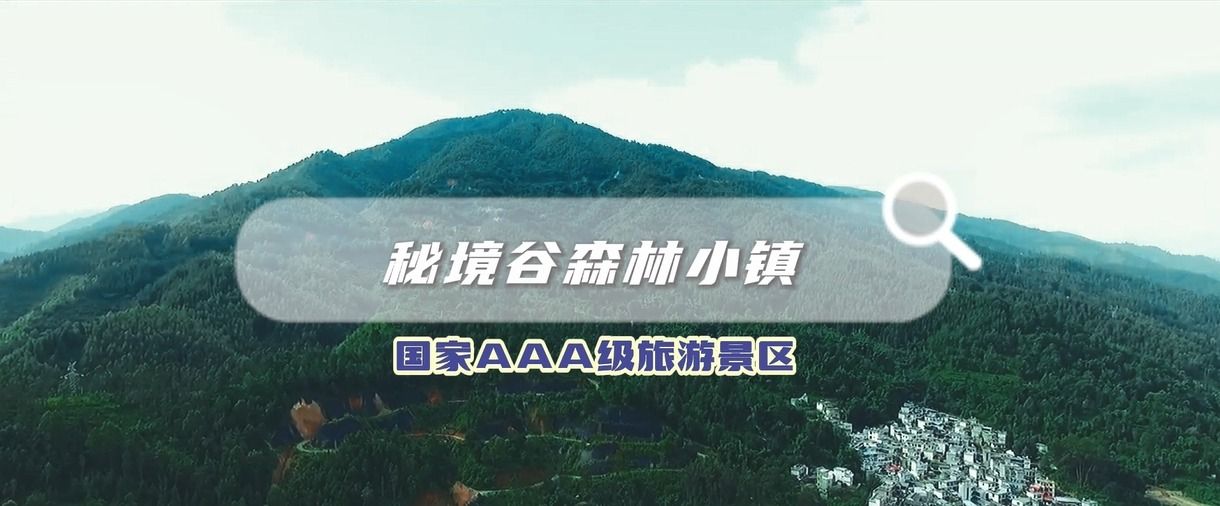 秘境谷森林小镇