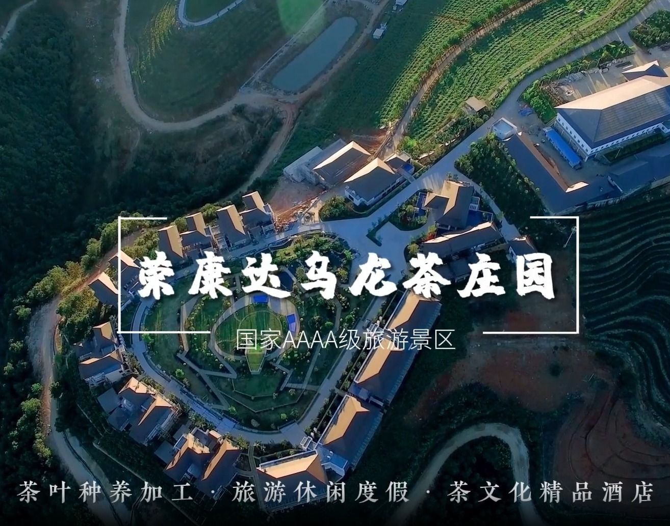 荣康达乌龙茶庄园