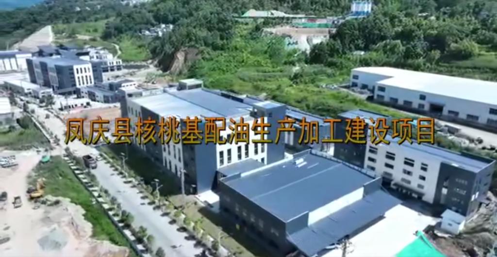 凤庆县核桃基配油生产加工建设项目竞争性公开招募运营主体
