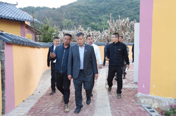 图三：路治华副市长一行深入大水井村委会调研村容村貌建设情况