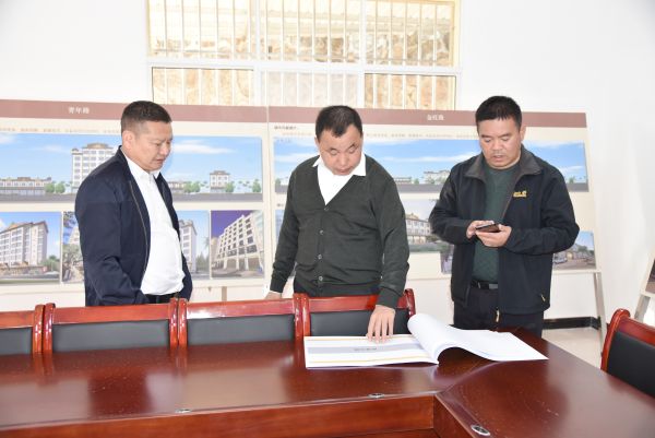 图四：徐绍武同志查看孟定镇棚户区改造(城市特色风貌提升)工作情况