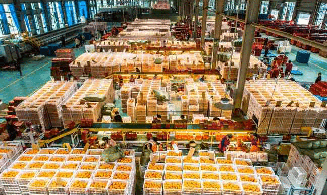临沧边合区特色果蔬食品加工产业园项目