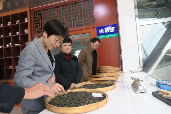 在临沧普粹茶叶有限公司参观