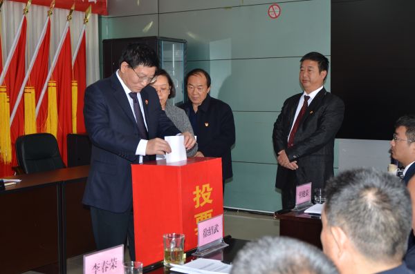 图九：参会党员投票