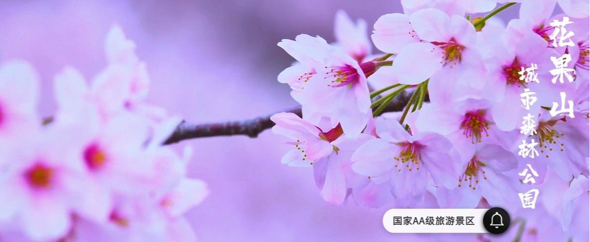 花果山城市森林公园