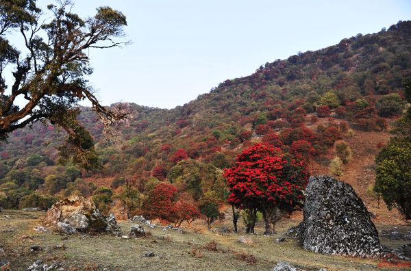 永德大雪山探险度假营地