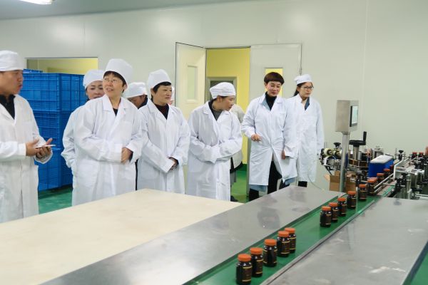 参观云南广福药业有限公司生产线