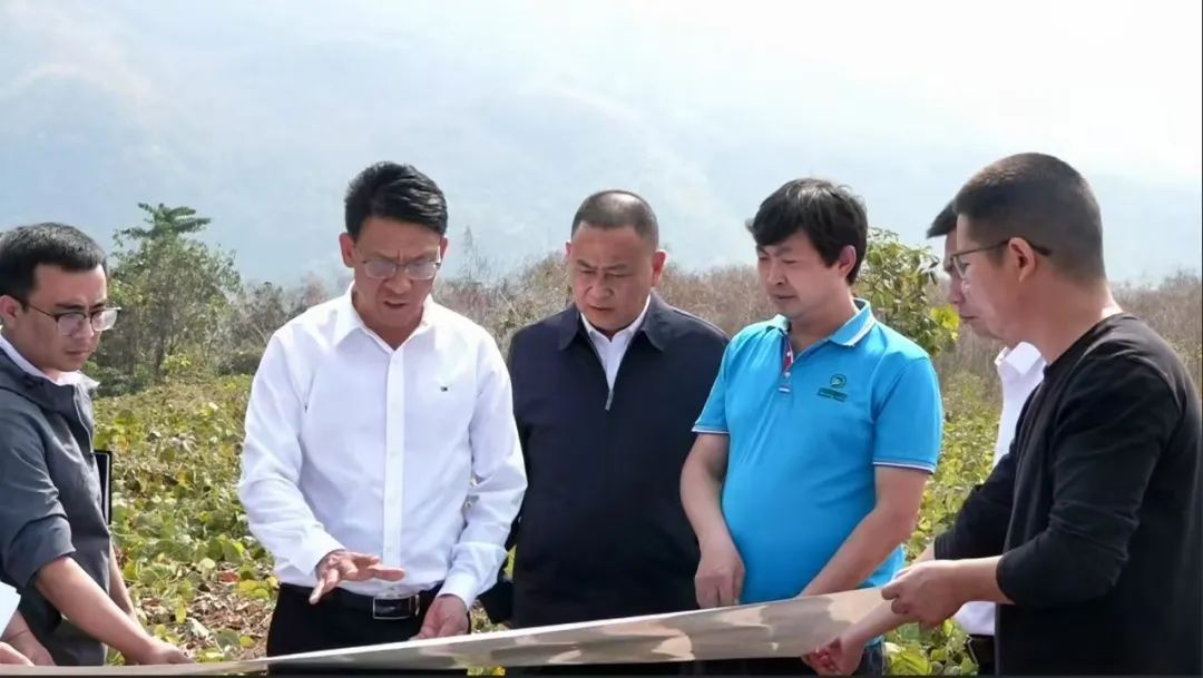 徐贤到耿马调研时强调大抓产业大抓项目大抓招商 为经济社会高质量发展提供坚实支撑