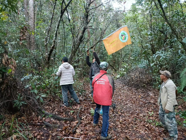 图为管护员在入山路口插彩旗