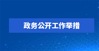 政务公开工作举措