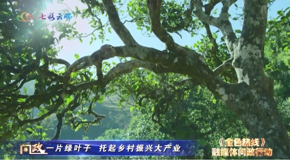 打造特色产业 推动经济高质量发展