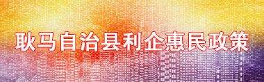 耿马利企惠民政策