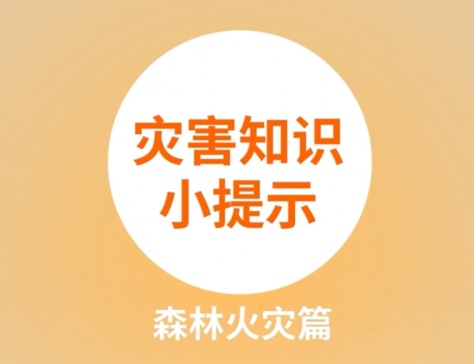 02灾害知识小提示森林火灾篇